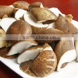 Free Sample Shiitake Mushroom Extract Powder thumbnail-1