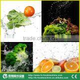 DUP-5000 High Efficiency Top and Bottom Spray Vegetable and Fruit Washer thumbnail-6