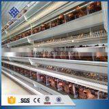 30 Years' Factory Supply Automatic Chicken Broiler Cages thumbnail-1