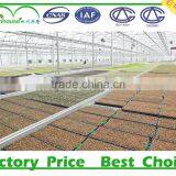 Low Cost Greenhouse Supplier thumbnail-4