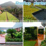 2016 New Design GreenSun High Quality Rooftop Planter/Green Roof Planter/roof Greenning Planter/HydroMoss Rooftop Planter thumbnail-1