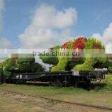 Factory Various Fake Grass Animal Artificial Grass Topiary thumbnail-2