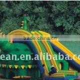 Inflatable Slides for Inground Pools (LT-9110D) thumbnail-1