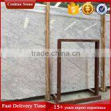 Coshine Stone Bianco White Carrara Marble Slabs Price thumbnail-1