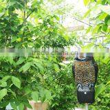 Good Quality Electronic PIR Pest Repeller thumbnail-1