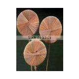 Sola Flower thumbnail-1