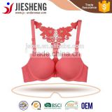 front closure bra,sexy transparent bra ,watermelon red bra,bra made in Shantou gurao(accept OEM)