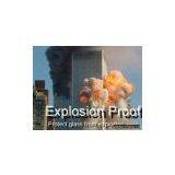 Explosion Proof Film thumbnail-1