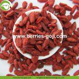 Factory Supply Dried Ningxia Goji Berry thumbnail-1