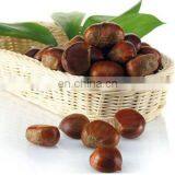 Stainless Steel Automatic Soybean Chestnut Seeds Processing Opening Machine thumbnail-7