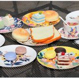 Best Selling Products Colorful Secret Garden Ceramic Bone China Plates