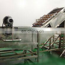 Industrial Fruit Washing and Sorting System thumbnail-5