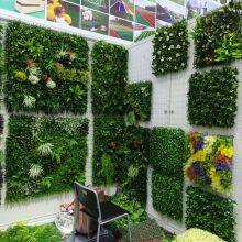 Fuyang Darson International Trade Co., Ltd company overview - view 1 thumbnail