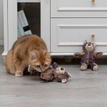 Teddy Bear thumbnail-4
