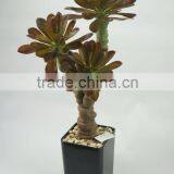 Indoor Decorative Artificial Plants Succulent Plants With Big Leaves thumbnail-2