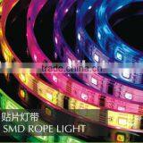 HOT SALE LED Flexible Strip Light