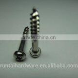 High Quality Hardware Screw Hidden Cemera