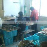 Taizhou City Jiaojiang Zheshang Glasses Factory company overview - view 1 thumbnail