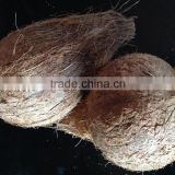 FRESH MATURED COCONUT FOR MIDDLE EAST
