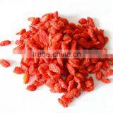 Chinese Herbal Oil 100 Pure and Natural the Fruit of Chinese Wolfberry Oil