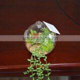 Artificial Succulent Plant Glass Globe Hanging Terrarium thumbnail-2