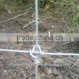 Hot Sales High Quality Field Fence