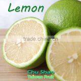 Best Quality Fresh Green Lemon thumbnail-6