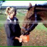 HIMALAYAN HORSE SALT LICKS