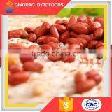 Top Quality Dry Roasted Red Skin Peanuts From China thumbnail-6
