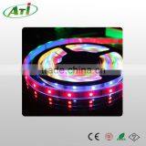 5050 Led Strip 300 Leds Rgb Light for Christmas Sale