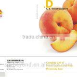 Complete Peach Fruit Processing Line