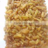 GOLDEN RAISIN (NEW CROP) thumbnail-2