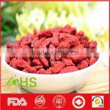 Bulk dried goji berries with wholesale price