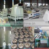 China Chicken Manure Fertilizer Pellet Making Machine thumbnail-5