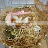 Current Hot Sale in Japan &new Promoted Mash Paper