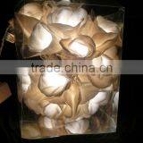 Flower String Lights thumbnail-4