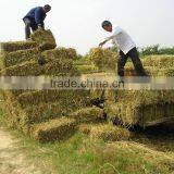 High Working Efficiency Tractor PTO Use Square Hay Baler Grass Square Baler Straw Square Baler With CE thumbnail-6