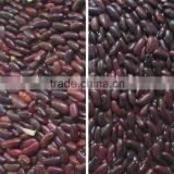 CCD Red Bean Color Sorter With 6SXZ-408 thumbnail-2