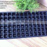 High Quality Vegetable Plastic Nursery Seedling Tray Black Plastic Plant Seed Growing Tray thumbnail-1