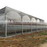High Quality Commercial/agricultural Used Film Covering Greenhouse for Sale thumbnail-3