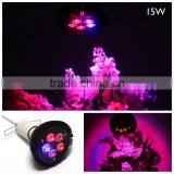 High Efficient 15w LED Grow Light, Collee Plant Grow Lights E27 Growing Bulbs For Garden, Plant, Greenhouse thumbnail-6