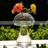 Creative Mushrooms Clear Glass Hydroponic Container Handblown Glass Terrarium thumbnail-1