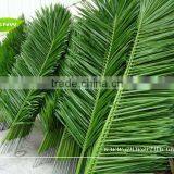 GNW 18ft High Artificial Palm Tree for Park Decoration Indoor Palm Atificial Palnt thumbnail-3