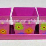 Rectangular Herb Planter Set on a Tray thumbnail-1