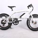 2017 New Design 20 Inch 36V 350W Non-foldable Electric Fat Bike thumbnail-4