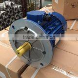 RAL5010 MSL100L1-4 IEC Standard B5 2.2kW Electric Motor thumbnail-1
