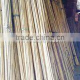 Natural Dry Bamboo Canes Poles Sticks for Gardening SUPPORTING thumbnail-2