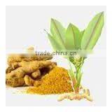 Curcuma Longa Extract thumbnail-2