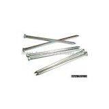 Galvanized Square Boat Nails thumbnail-1