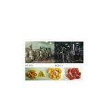 Vegetable and Fruit Chips Food Machine